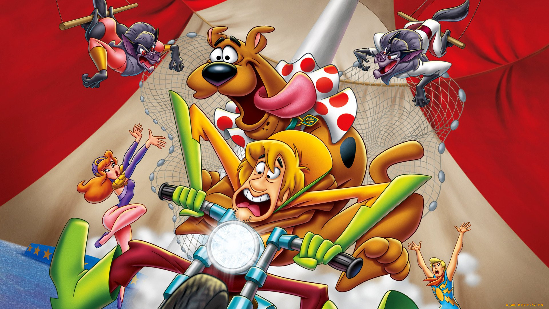 , scooby doo, 